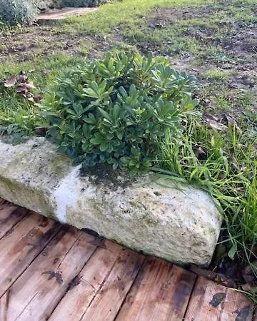 Le Domaine Du Petit Bois, L'etable *