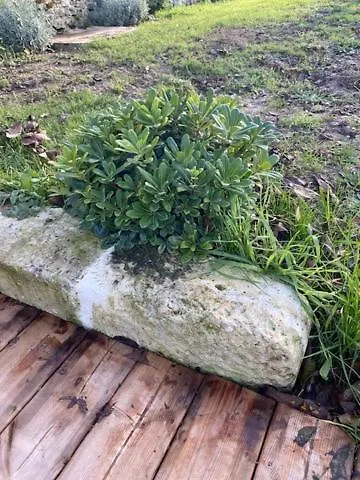 Le Domaine Du Petit Bois, L'etable *